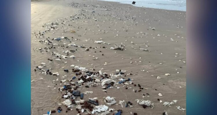 basura espacial de spacex en méxico