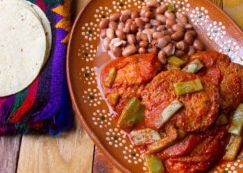 beneficios del nopal