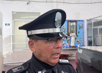 cocodrilo en galerías altama en tampico
