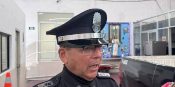 cocodrilo en galerías altama en tampico