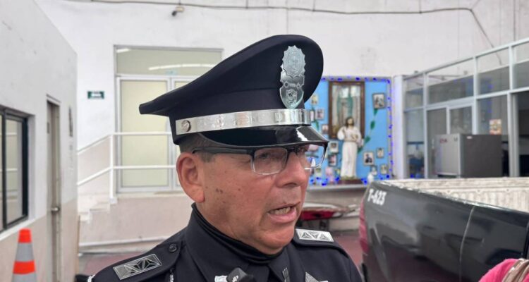 cocodrilo en galerías altama en tampico