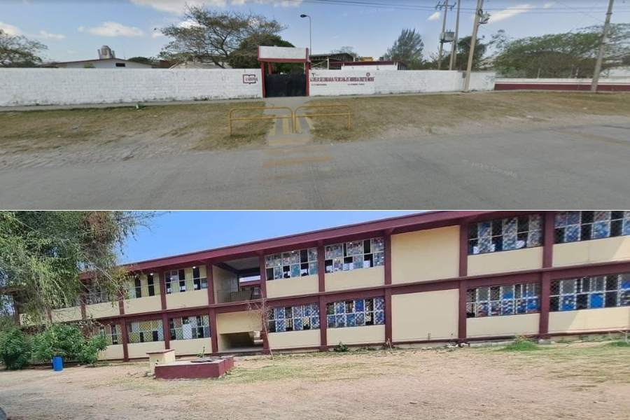 cocodrilo frente a secundaria en Altamira