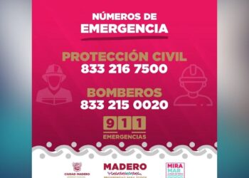 cocodrilos en Ciudad Madero