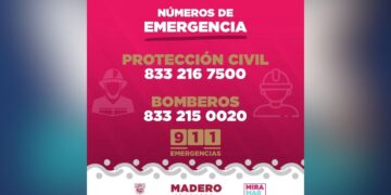 cocodrilos en Ciudad Madero
