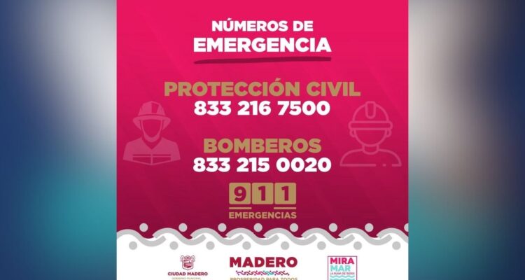 cocodrilos en Ciudad Madero