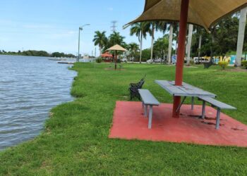 cocodrilos en parque de Tampico