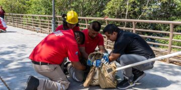 Código Cocodrilo en México
