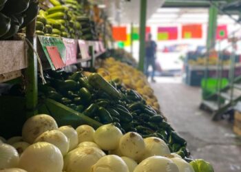 comercio informal Ciudad Victoria