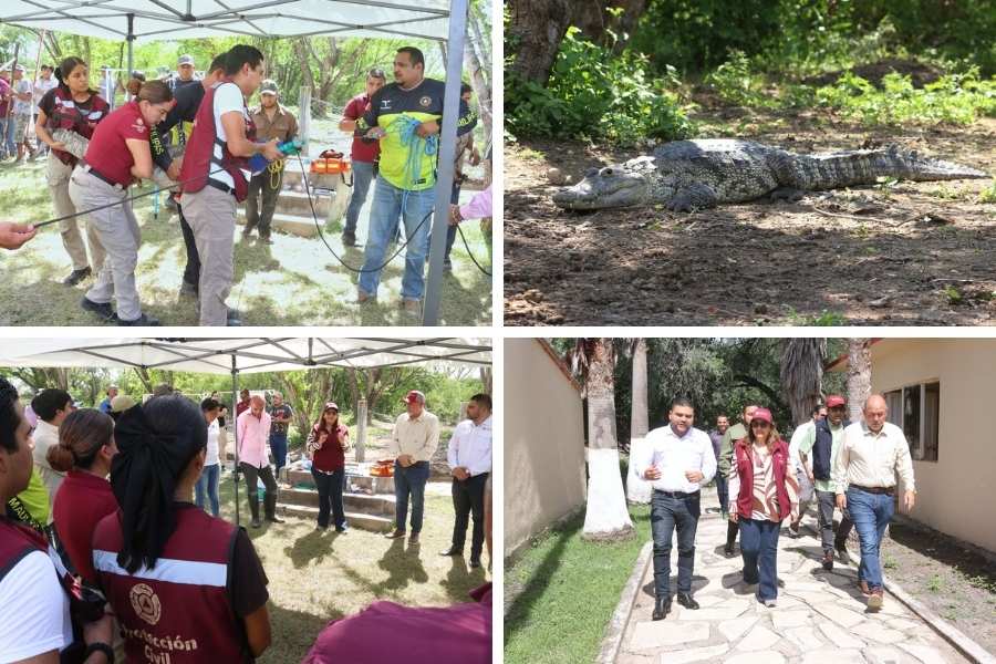 curso de manejo de cocodrilos en Tamaulipas