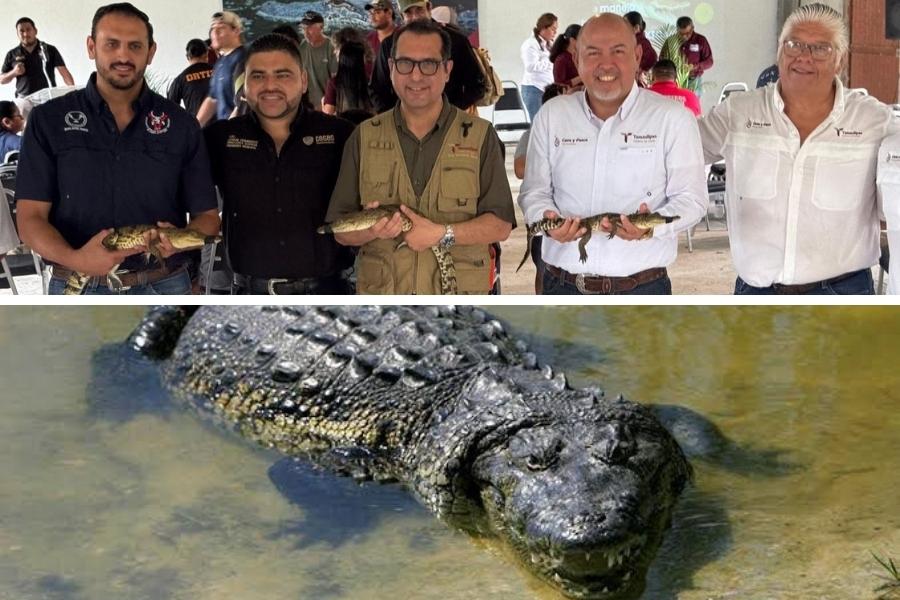 curso manejo de cocodrilos Tamaulipas