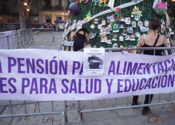 deudores alimentarios