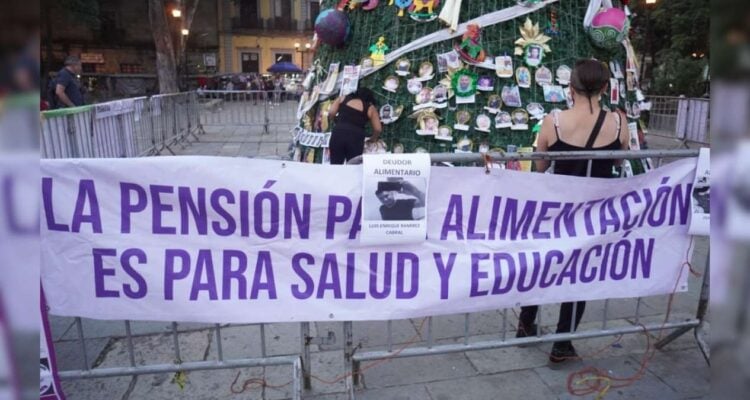 deudores alimentarios