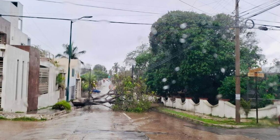 emergencias por lluvias en Tampico