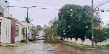 emergencias por lluvias en Tampico