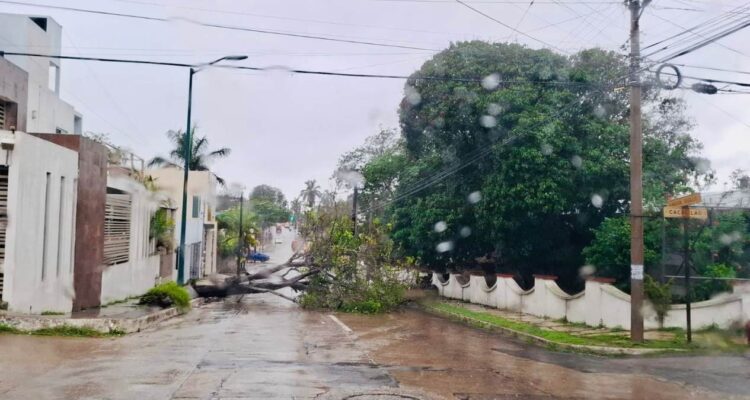 emergencias por lluvias en Tampico