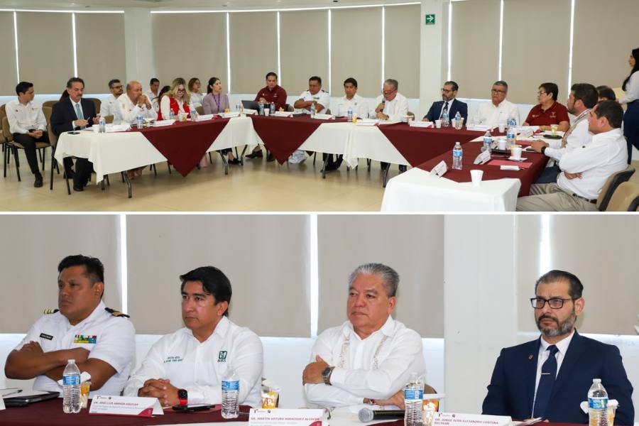 estrategia ver por méxico