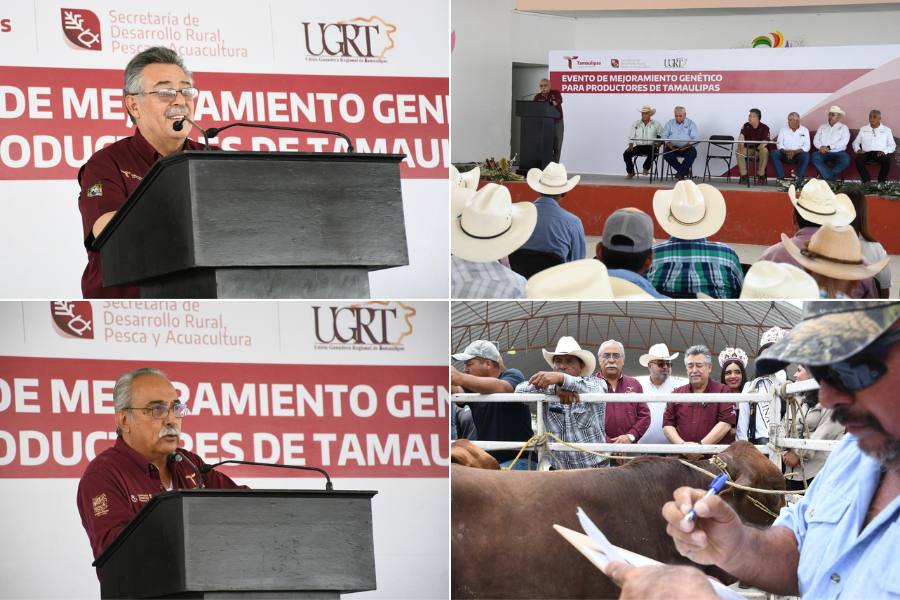 Expo Feria Regional Tula