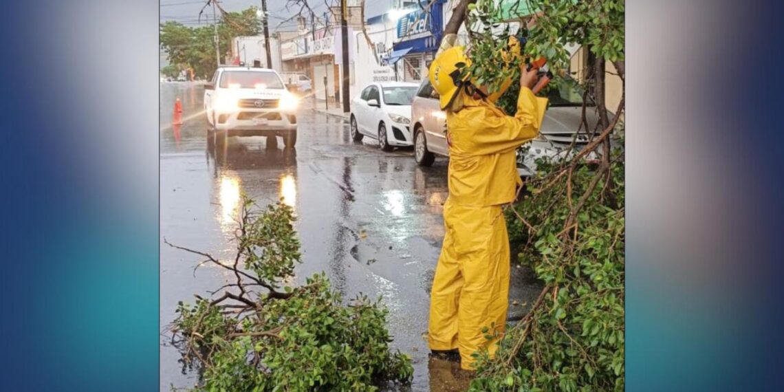 lluvia del jueves en Victoria