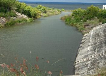 nivel de presas en Tamaulipas 2025