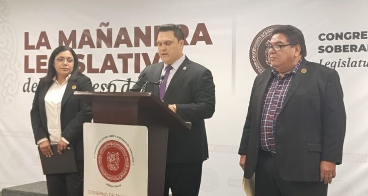 participación elecciones Tamaulipas