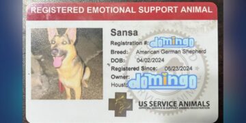 perro de apoyo emocional en Matamoros