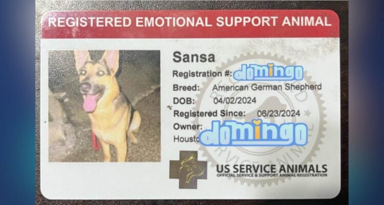 perro de apoyo emocional en Matamoros
