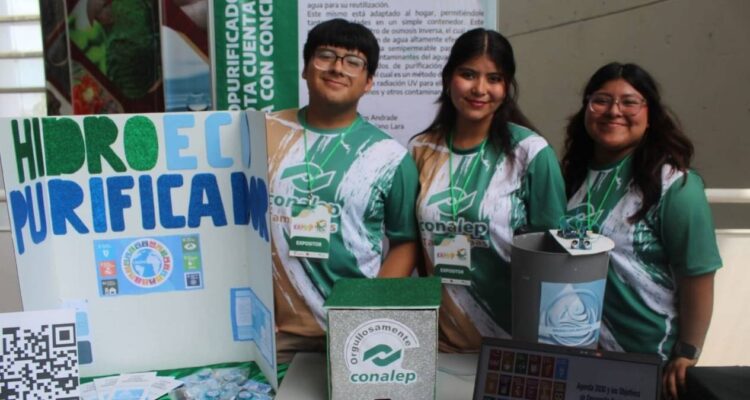 purificador de agua doméstico Nuevo Laredo