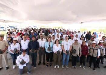 reforestación de manglares en Tamaulipas