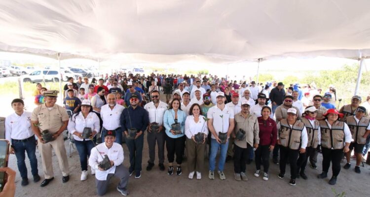 reforestación de manglares en Tamaulipas
