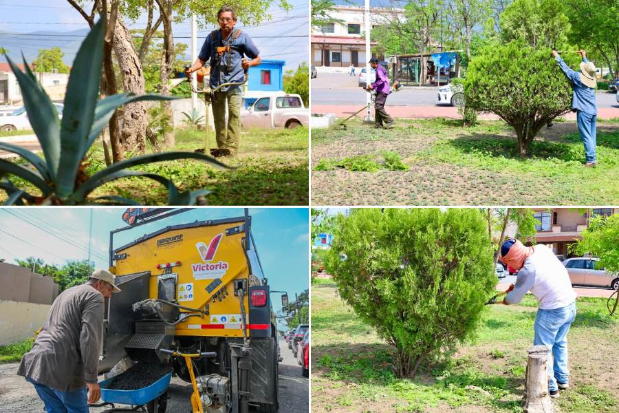 rehabilitación de calles en Ciudad Victoria