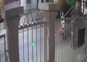 robo de señal de alto Tampico