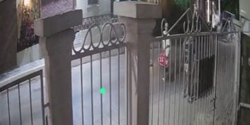 robo de señal de alto Tampico
