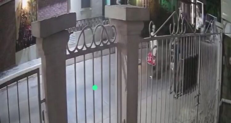robo de señal de alto Tampico