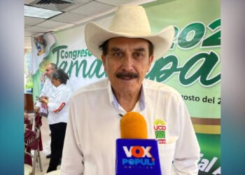 sistema de regularización vehicular en México