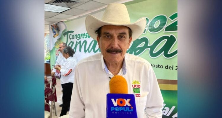 sistema de regularización vehicular en México
