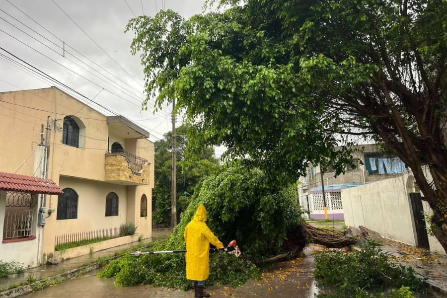 tormenta tropical Barry en Tampico