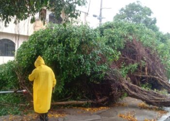 tormenta tropical Barry en Tampico