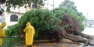 tormenta tropical Barry en Tampico