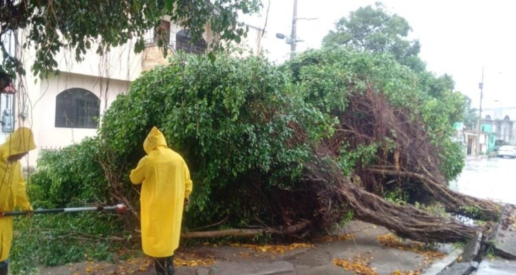tormenta tropical Barry en Tampico