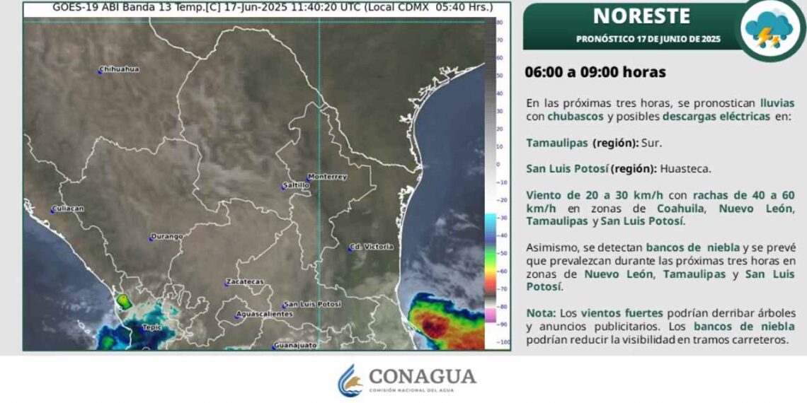 ¿Afectará en Tamaulipas la Tormenta Tropical Erik este martes 17 de junio?