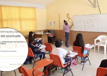 ¿Cómo consultar y descargar la boleta del ciclo escolar 2024-2025 en línea de tu hijo?
