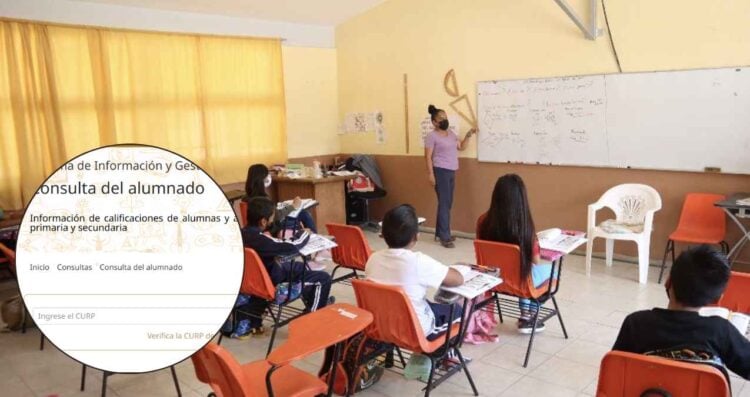 ¿Cómo consultar y descargar la boleta del ciclo escolar 2024-2025 en línea de tu hijo?