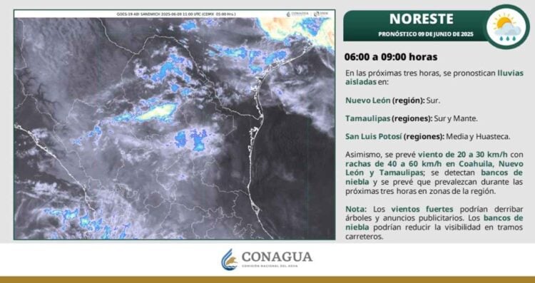 ¿Prevén chubascos, calor o tolvaneras este lunes en Tamaulipas, según el SMN?