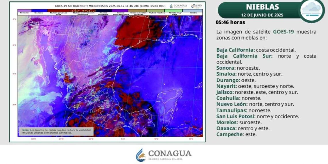 ¿Se registrarán temperaturas superiores a 30 grados en Tamaulipas este jueves?