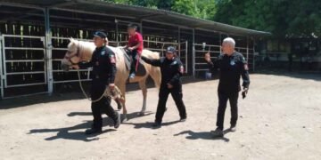 Apoya Agrupamiento Montado de la Guardia Estatal con equinoterapia a personas con discapacidad