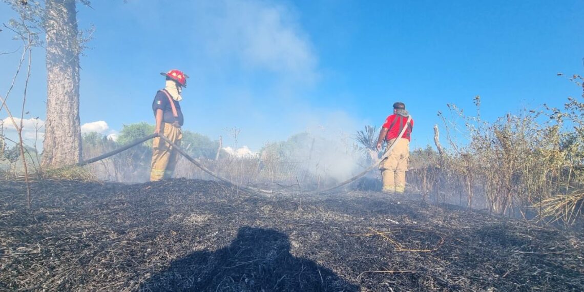 Bomberos Victoria controlan incendio zacatal