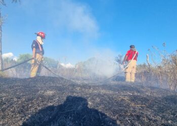Bomberos Victoria controlan incendio zacatal