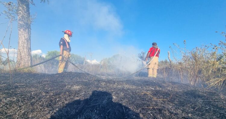 Bomberos Victoria controlan incendio zacatal