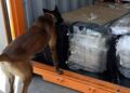Aseguran cargamento con aproximadamente 200 kilos de cocaína en aduana de Ensenada, Baja California