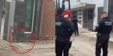 Aseguran cocodrilo que merodeaba calles de Ciudad Madero